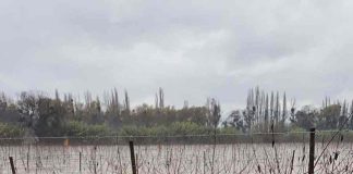 Daños por desborde de ríos y lluvias en predios: "No tenemos infraestructura hídrica para evitar el colapso que estamos enfrentando"