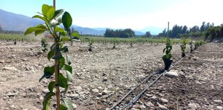 Desde inspeccionar líneas de riego, hasta realizar cambios en el equipamiento: expertos llaman a aprovechar meses de invierno para realizar mantenciones en la infraestructura de riego agrícola