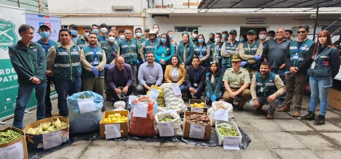 Durante el 2023 el SAG Tarapacá ha decomisado más de 220 mil unidades del producto pecuario Ingreso Clandestino: en 136% aumenta incautación de huevos de gallina