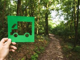 5 consejos para promover una Eco-Logística en el Día del Medio Ambiente