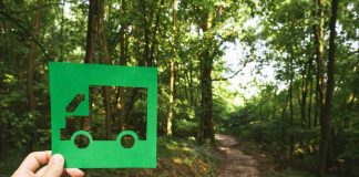 5 consejos para promover una Eco-Logística en el Día del Medio Ambiente