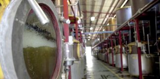 Empresas pisqueras de Coquimbo exhibirán su oferta en la BCB de Brooklyn 