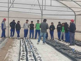 Estudiantes del valle de Lluta participan activamente en proyecto para validar sustratos locales en la agricultura