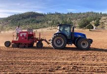 Expertos destacan los 10 puntos claves para el establecimiento exitoso de la alfalfa