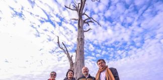 Gobierno lanza Proyecto de Restauración de Paisajes en seis regiones del país