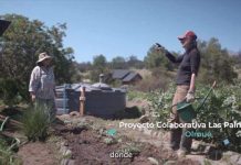 Hasta $30 millones para iniciativas socioambientales comunitarias