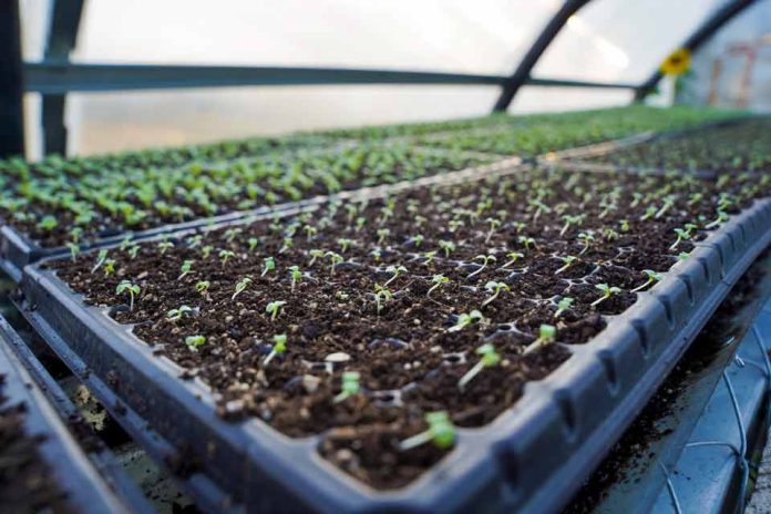 INDAP abre proceso de postulación a nuevo programa para la Transición a la Agricultura Sostenible