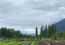 INDAP y Seremi de Agricultura: Entregan recomendaciones  para cuidado de frutales y hortalizas en época de receso invernal
