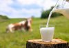 La genética como herramienta para contribuir en la producción de leche en toda Latinoamérica