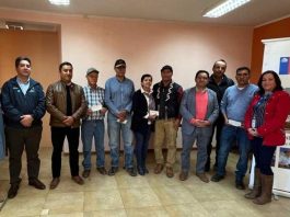 Más de $20 millones en indemnizaciones recibieron pequeños productores de uva pisquera y nogales afectadas por heladas