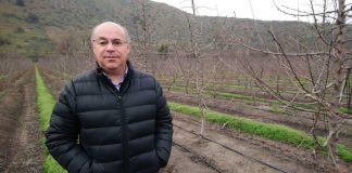 Ola polar en Chile afecta duramente a cítricos y paltos, y se extiende por gran parte del territorio frutícola