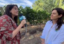 Poda tardía: herramientas para mitigar los efectos del cambio climático