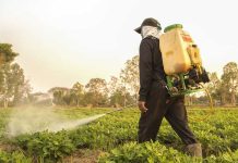 UCM se adjudicó proyecto europeo para impulsar la agricultura sostenible