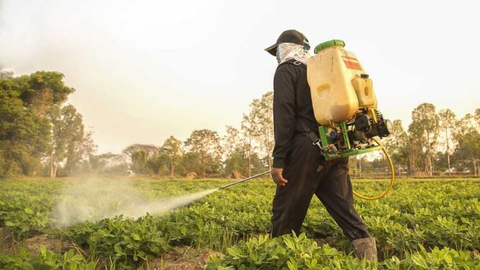 UCM se adjudicó proyecto europeo para impulsar la agricultura sostenible