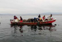 UCN desarrollará granjas marinas para potenciar la acuicultura de pequeña escala en la región de Coquimbo