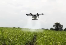 Inteligencia Artificial en el sector agrícola: beneficios y desafíos