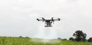 Inteligencia Artificial en el sector agrícola: beneficios y desafíos