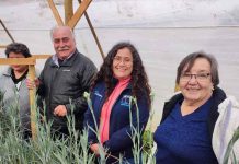 floricultores de Longotoma