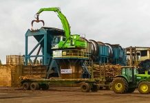 industria forestal
