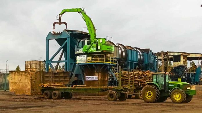 industria forestal