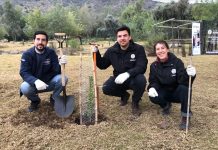 Fundación Reforestemos