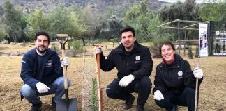 Fundación Reforestemos