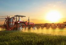 Agroindustria ¿cómo proteger los cultivos de las heladas