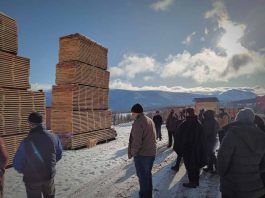 Aysén - Más de 30 pymes de la industria del aserrío participaron en taller de capacitación en secado de madera