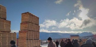 Aysén - Más de 30 pymes de la industria del aserrío participaron en taller de capacitación en secado de madera