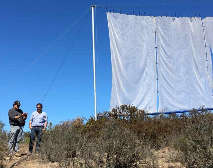 Campesinos y organizaciones del país cuentan con $900 millones para mejorar su infraestructura de riego con apoyo de la CNR
