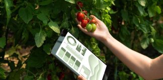 CfiAgrotech 2023: Confirman participación de reconocidos expositores internacionales en congreso agroalimentario 