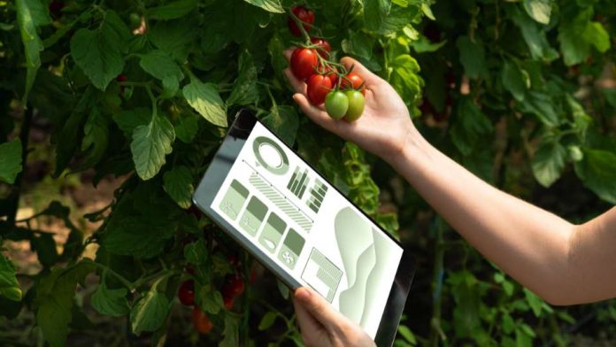 CfiAgrotech 2023: Confirman participación de reconocidos expositores internacionales en congreso agroalimentario 