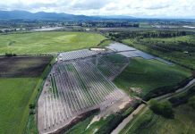 ¿Cómo lo hizo? Chile vuelve a ser el país más atractivo de la región para invertir en ERNC.