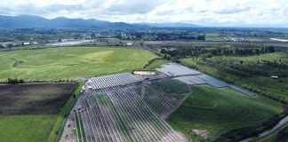 ¿Cómo lo hizo? Chile vuelve a ser el país más atractivo de la región para invertir en ERNC.