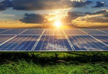 Energías renovables no convencionales aumentaron su participación en Chile: ¿qué industrias están prefiriendo estas tecnologías? 