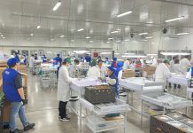 Esta temporada 2022-2023 Más de cuatro millones 600 mil cajas de fruta y flores se han certificado en Sitio de Inspección de Fruta Fresca SAG USDA – APHIS ASOEX de Cabrero