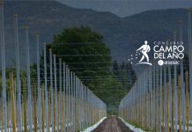 IV Versión del concurso organizado por Anasac Campo del año 2023 últimas semanas para inscribirse