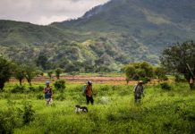Inédito en Latinoamérica: Presentan compilación de estudios sobre efectos de plaguicidas