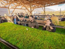 Inspiración para innovadores: FIA e INIA lideran jornada al centro de agroecología y economía circular Granja La Pachamama