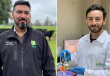 Investigadores de INIA Remehue dictarán charlas online en la Expo Chile Agrícola 2023