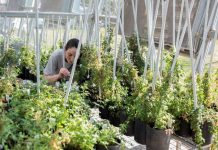 La Comisión Europea oficializa propuesta para regular favorablemente variedades de plantas obtenidas con Nuevas Técnicas Genéticas (NGT)