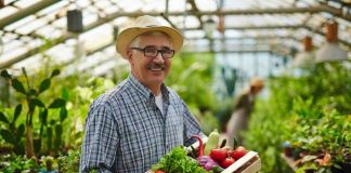 La transformación de la labor campesina y su importancia para la sociedad