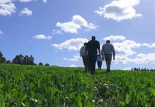 Las innovaciones que están transformando la agricultura
