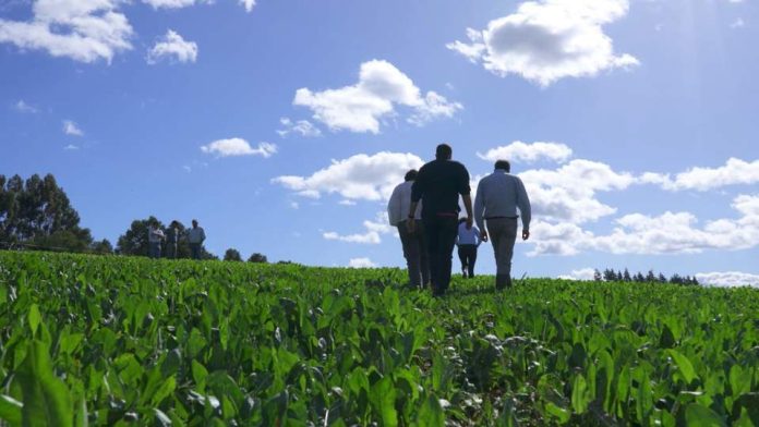 Las innovaciones que están transformando la agricultura