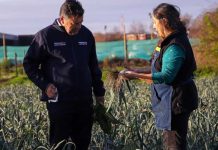 Ministro Valenzuela lanza programa “Siembra por Chile” y encabeza entrega de ayudas tras sistema frontal en Biobío
