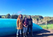 Productoras de Chiloé enfrentarán el déficit hídrico con cosechas de aguas lluvia