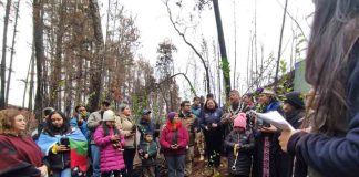 Proyecto de restauración de bosque nativo proporciona beneficios para cerca de 3200 personas