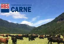 Tendencias genéticas para la próxima temporada de carne son presentadas al mercado de Chile