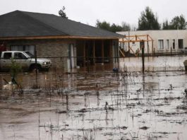 ASOEX evalúa situación de la industria ante fuertes lluvias en la zona centro-sur de Chile