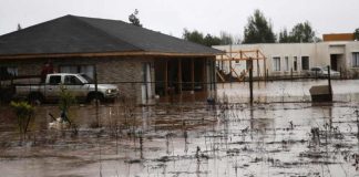 ASOEX evalúa situación de la industria ante fuertes lluvias en la zona centro-sur de Chile